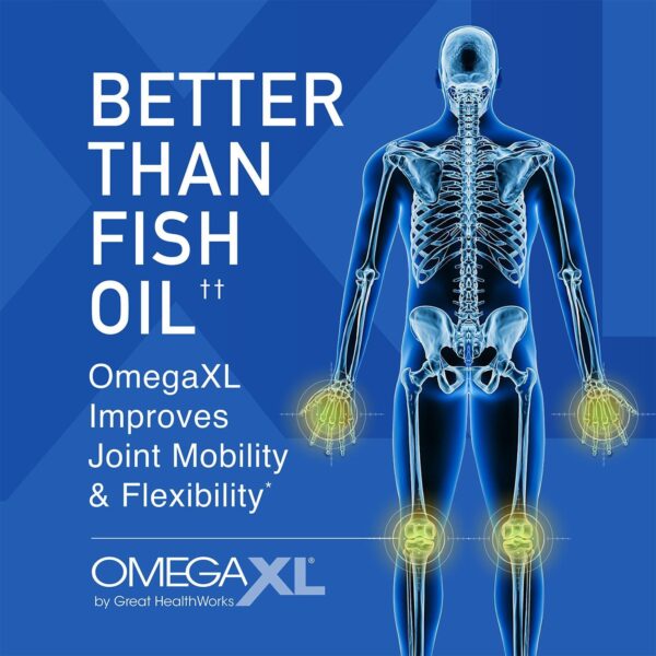 OmegaXL Joint Support Supplement, for Relief - Natural Muscle Support, Green Lipped Mussel Oil, Soft Gel Pills, Drug-Free, 60 Count - Image 2