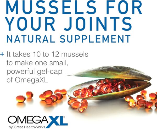 OmegaXL Joint Support Supplement, for Relief - Natural Muscle Support, Green Lipped Mussel Oil, Soft Gel Pills, Drug-Free, 60 Count - Image 6