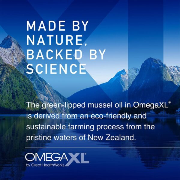 OmegaXL Joint Support Supplement, for Relief - Natural Muscle Support, Green Lipped Mussel Oil, Soft Gel Pills, Drug-Free, 60 Count - Image 5